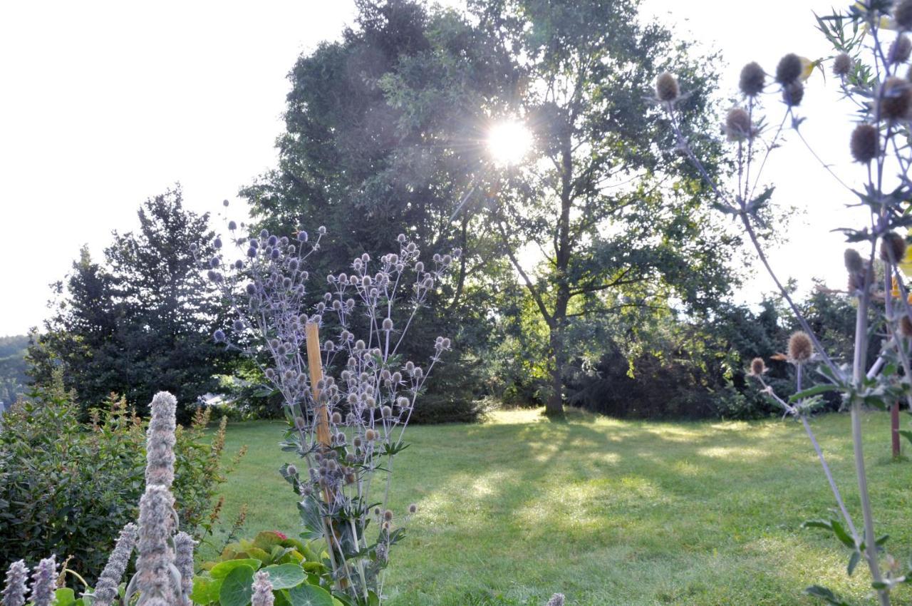 Blaumeise Appartement