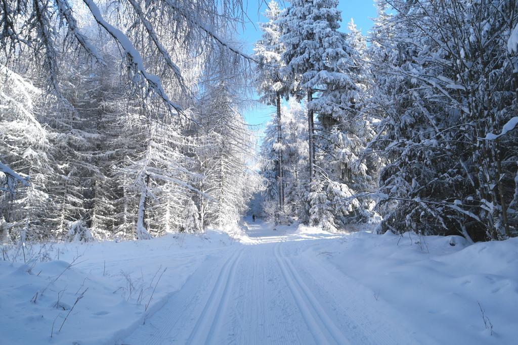 Blaumeise